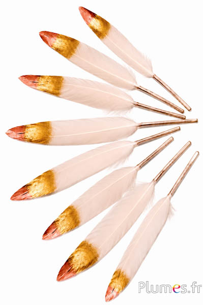 Gans gold-bronze Spitze - 10-15 cm - rosé-beige